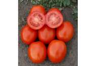 1807 F1 - томат детерминантный, семян, Lark Seeds (Ларк Сидз), США фото, цена